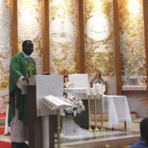 Izvanredni misijski mjesec u župi sv. Antuna Padovanskog u Sesvetskim Selima